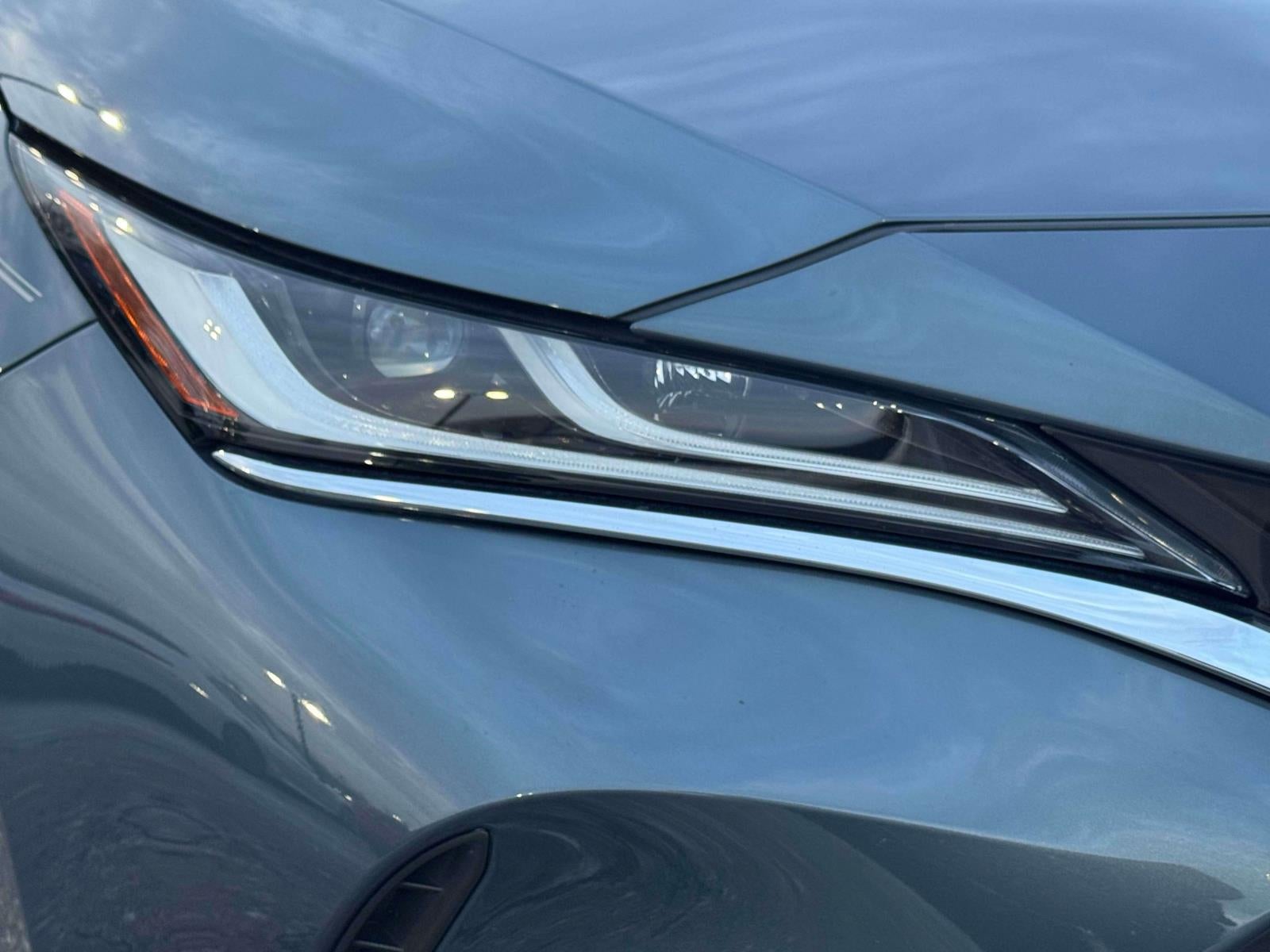 2023 Toyota Venza XLE AWD (Natl)