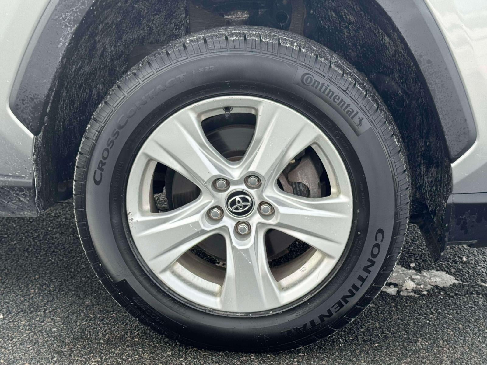 2019 Toyota RAV4 Hybrid XLE AWD (Natl)