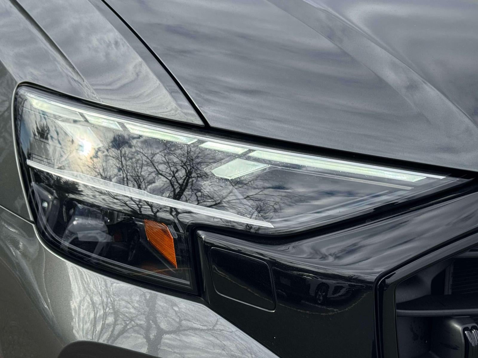 2025 Audi Q8 Premium Plus 55 TFSI quattro