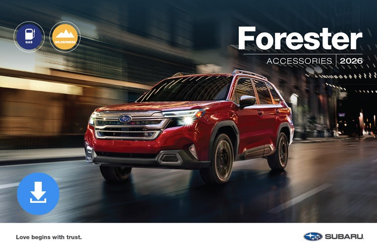 Subaru World of Hackettstown in Hackettstown NJ