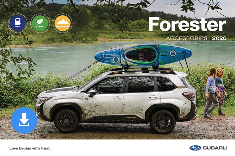 Subaru World of Hackettstown in Hackettstown NJ