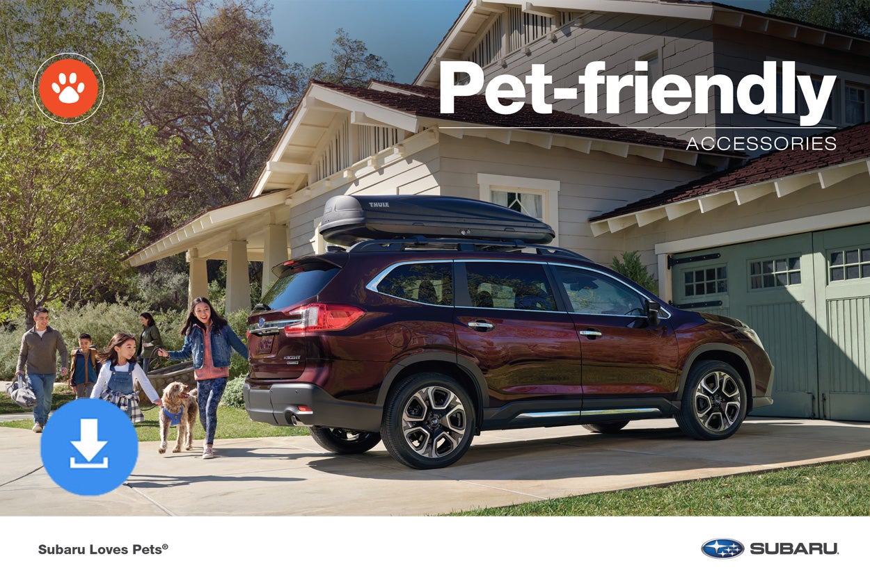 Subaru World of Hackettstown in Hackettstown NJ