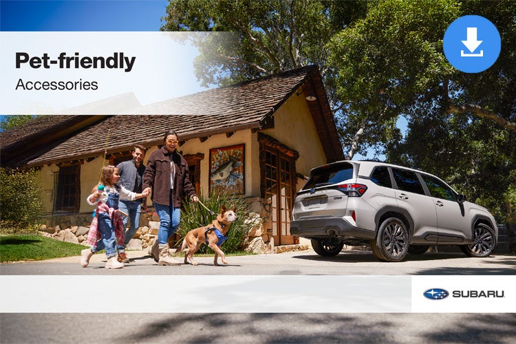 Subaru World of Hackettstown in Hackettstown NJ