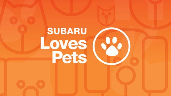 Subaru World of Hackettstown in Hackettstown NJ