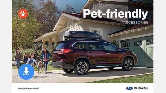 Subaru World of Hackettstown in Hackettstown NJ