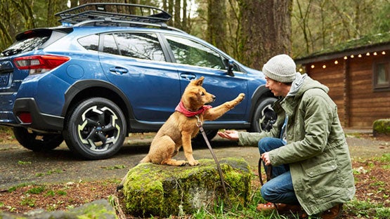 Subaru World of Hackettstown in Hackettstown NJ