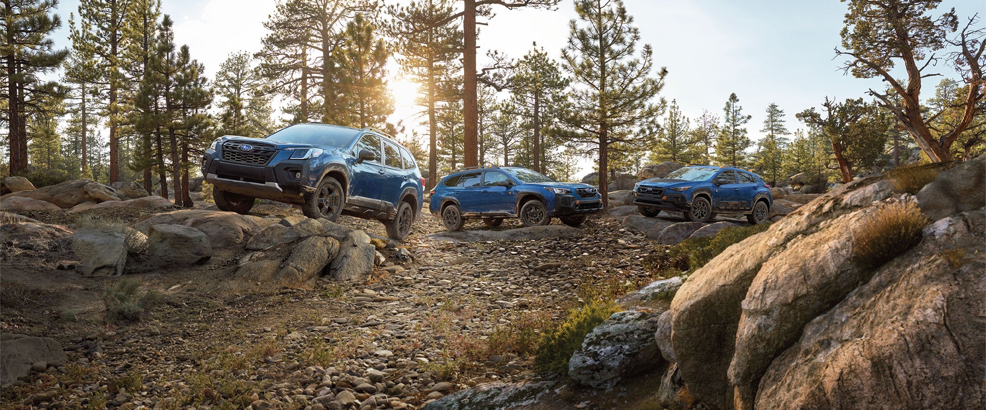 Off-road Subaru Outback Wilderness, Forester Wilderness, and Crosstrek Wilderness SUVs parked in the forest.