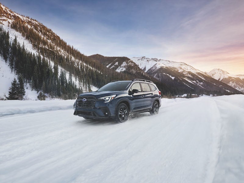 Winterization Special