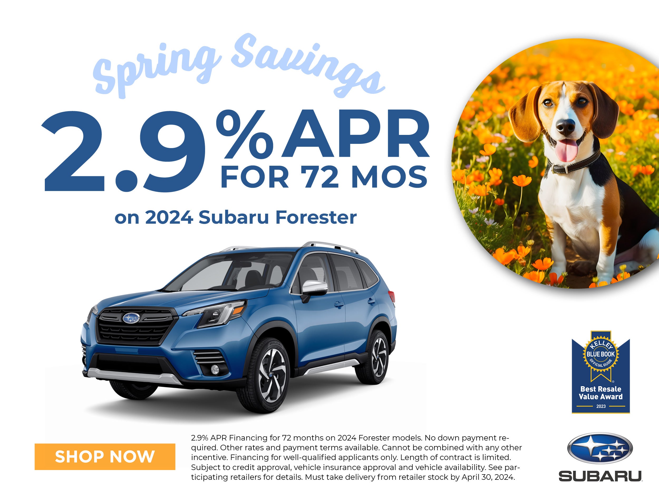 Subaru World Of Hackettstown