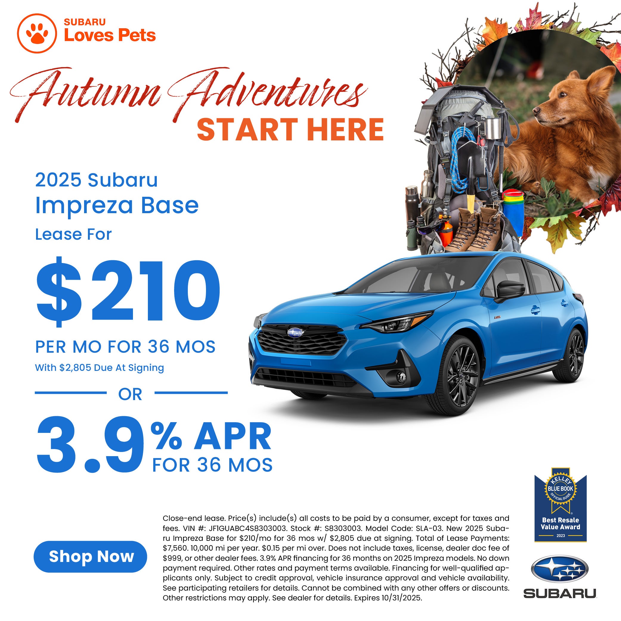 Subaru World Of Hackettstown