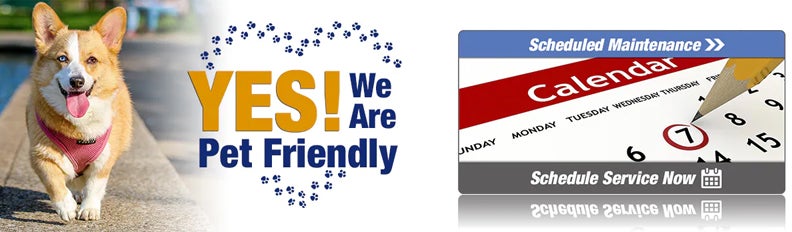 Subaru World of Hackettstown in Hackettstown NJ