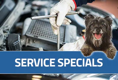 Subaru World of Hackettstown in Hackettstown NJ