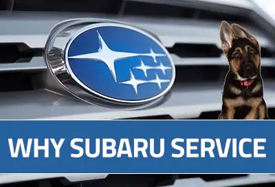 Subaru World of Hackettstown in Hackettstown NJ