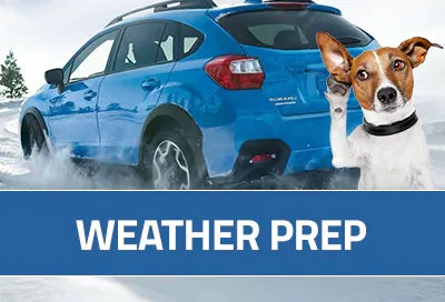 Subaru World of Hackettstown in Hackettstown NJ