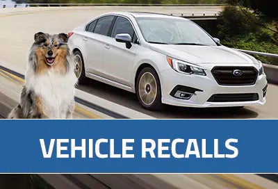 Subaru World of Hackettstown in Hackettstown NJ