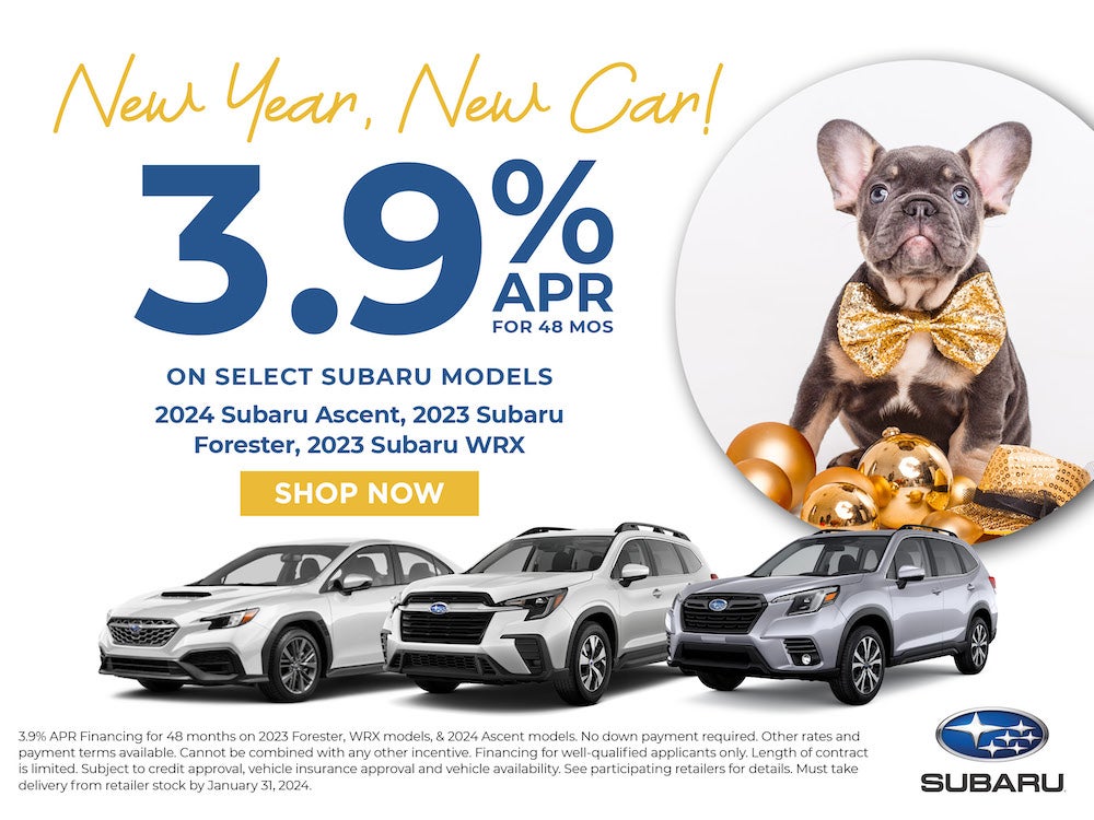 Subaru World Of Hackettstown
